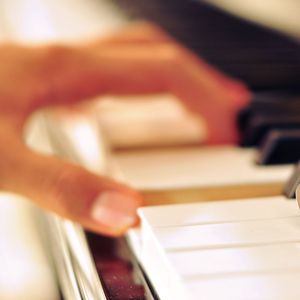 天天操天天干天天日
