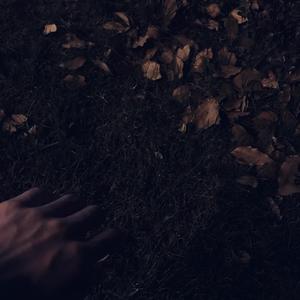 天天操天天干天天日
