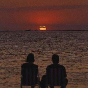 天天操天天干天天日
